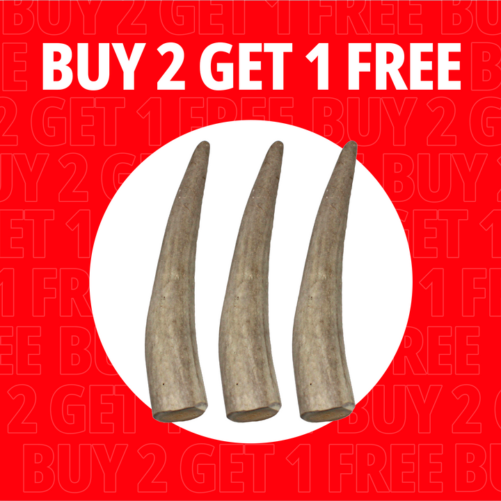 Small Antlers