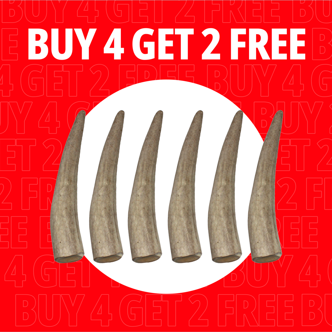 Small Antlers