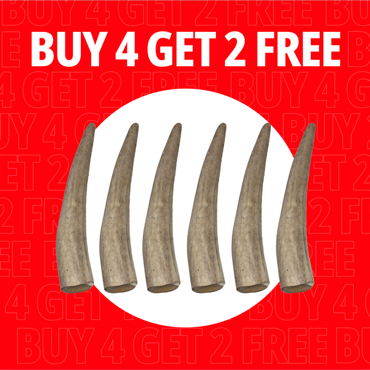 Small Antlers